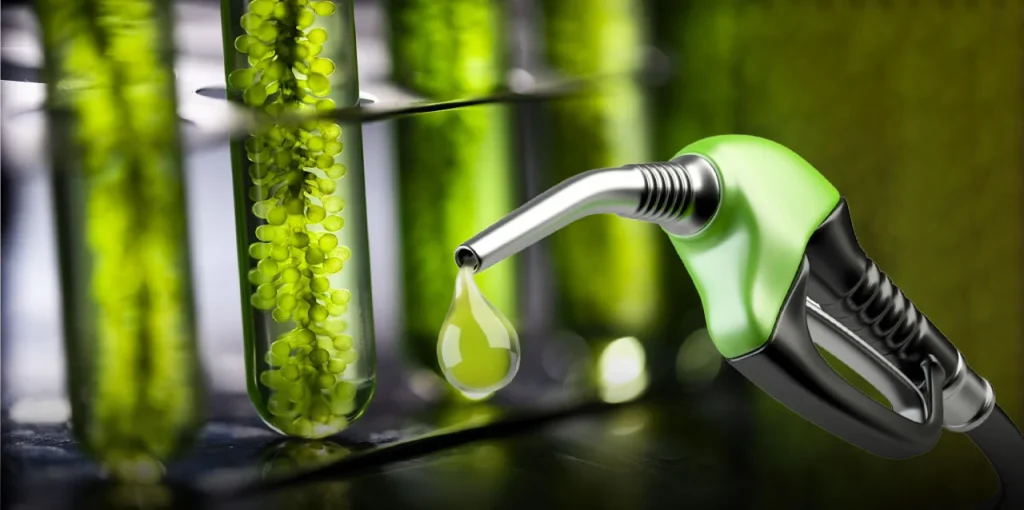 Autorizan un incremento en el precio de los biocombustibles para mayo