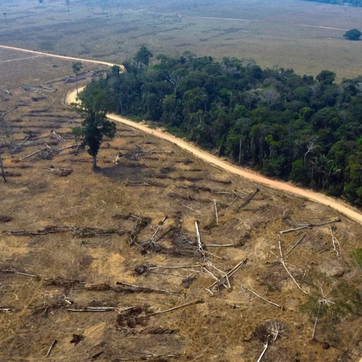 La deforestación en la selva amazónica de Brasil se redujo, pero aumentó la degradación del suelo
