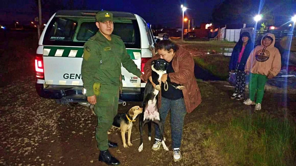 Encuentran y restituyen a su dueña a una perra que fue rescatada durante las inundaciones en Campana
