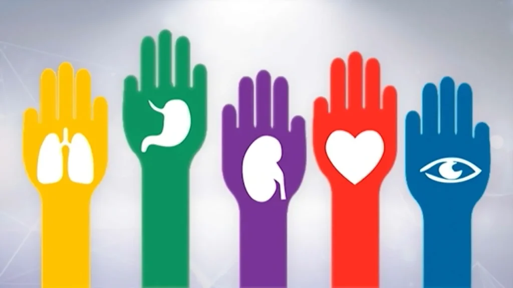 Día Nacional de la Donación de Órganos y Tejidos: ¿por qué se conmemora hoy?