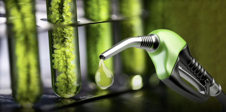 Autorizan un incremento en el precio de los biocombustibles para mayo