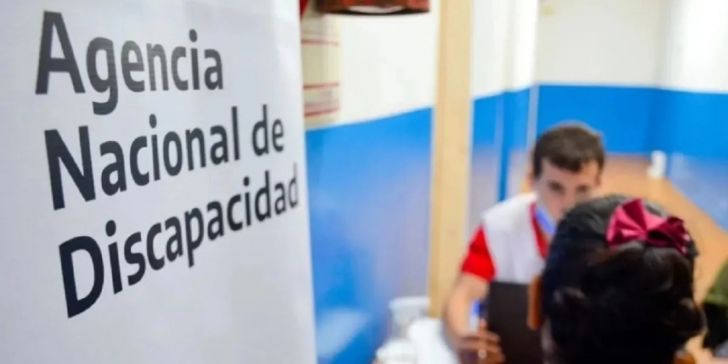 El Gobierno Nacional interrumpió las auditorías a pensiones por discapacidad