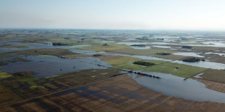 Lluvias extremas afectan la cosecha de soja en el noreste bonaerense
