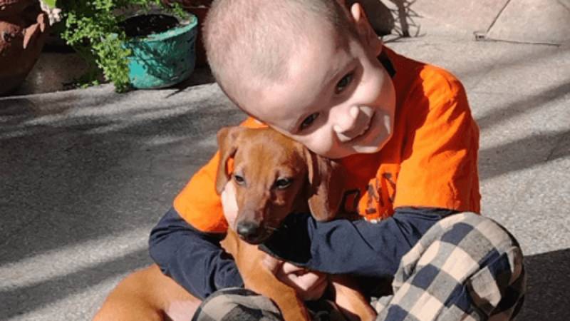 Todos por Nico: una familia rosarina busca recaudar fondos para tratamiento médico de su hijo en Estados Unidos