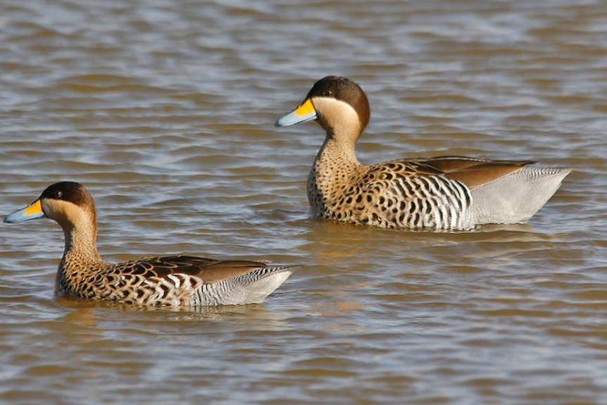 Santa Fe ofrece nuevos destinos y experiencias turísticas cerca de Rosario