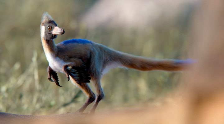 Un fósil patagónico de 95 millones de años reescribe la historia evolutiva de un enigmático grupo de dinosaurios