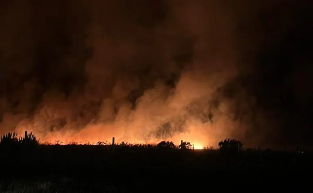 Incendio forestal en Mar del Plata: más de 200 hectáreas arrasadas