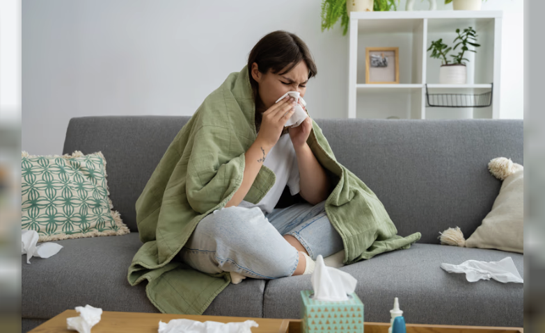 La influencia del clima en la transmisión del virus de la gripe