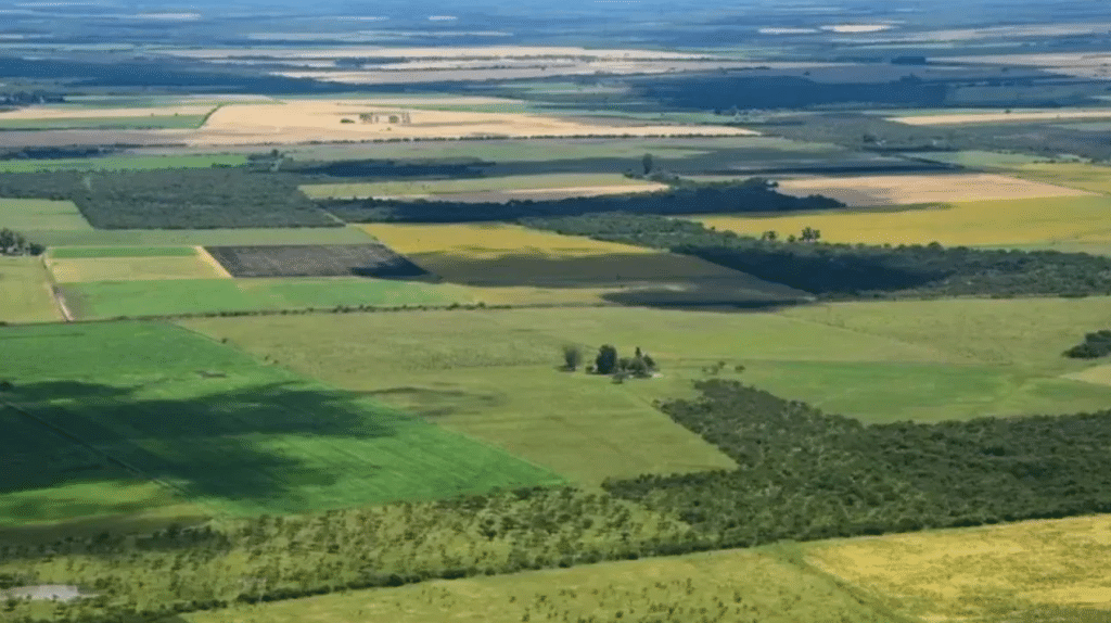 La Corte revocó el fallo que declaraba inconstitucional la derogación de la Ley de Tierras