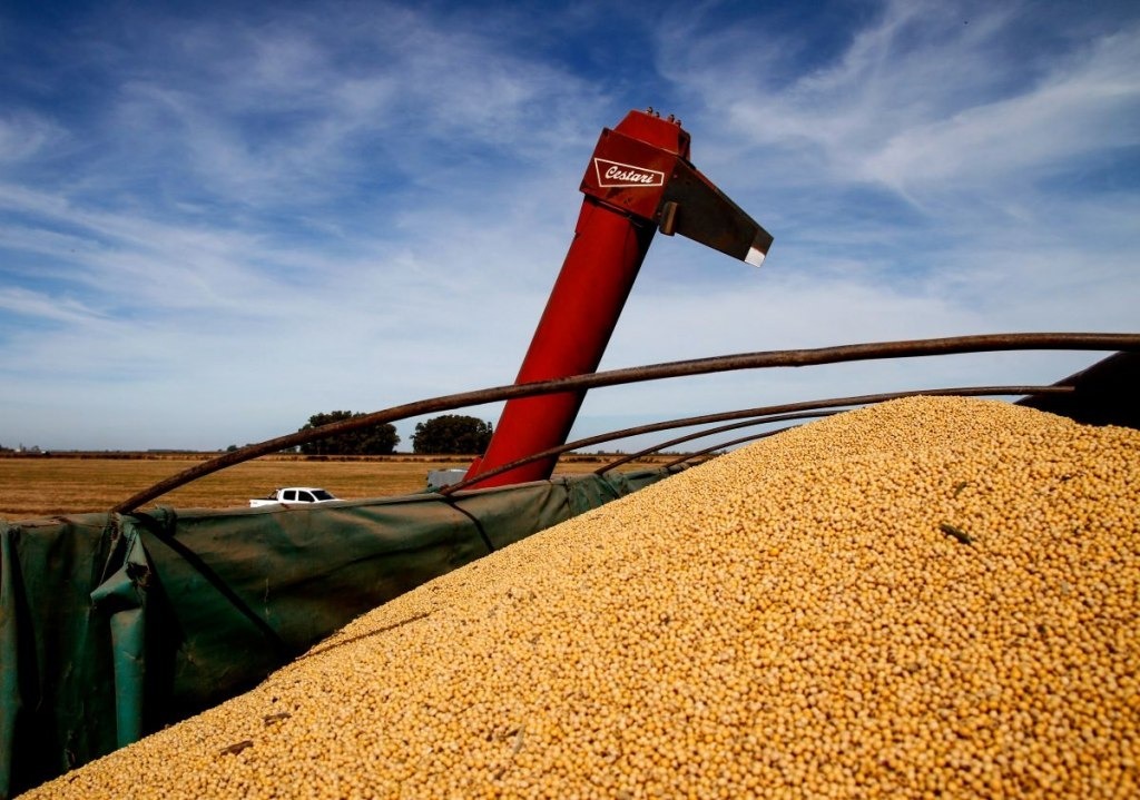 El agro proyecta exportaciones en el mayor nivel de la historia al totalizar US$42.200 millones