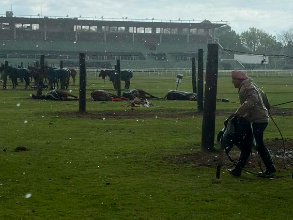 Un rayo mató a cuatro yeguas de polo en el Jockey Club de San Isidro